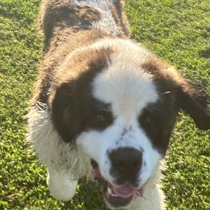 Meet your Posher, Kara